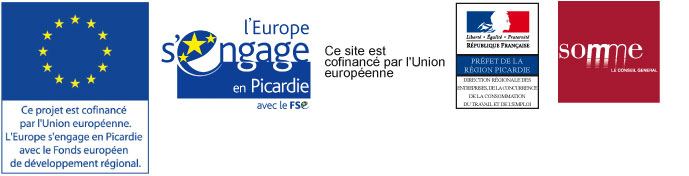 LOGO UE_FEDER_FSE_Direccte_CG80